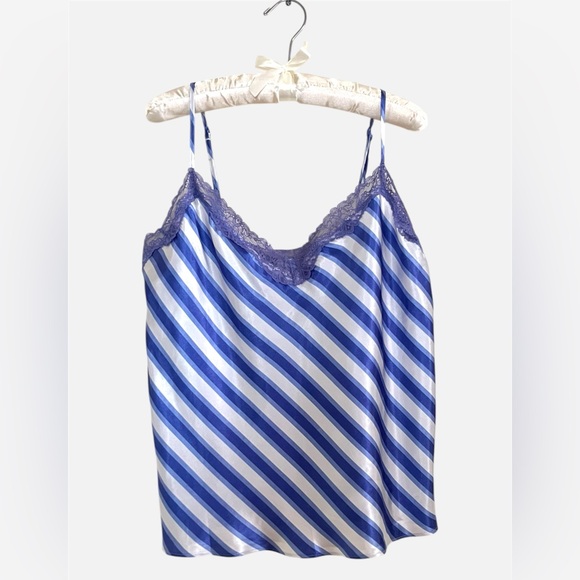 Secret Treasures Tops - Secret Treasures Blue and White babydoll satin retro Striped with Purple Lace